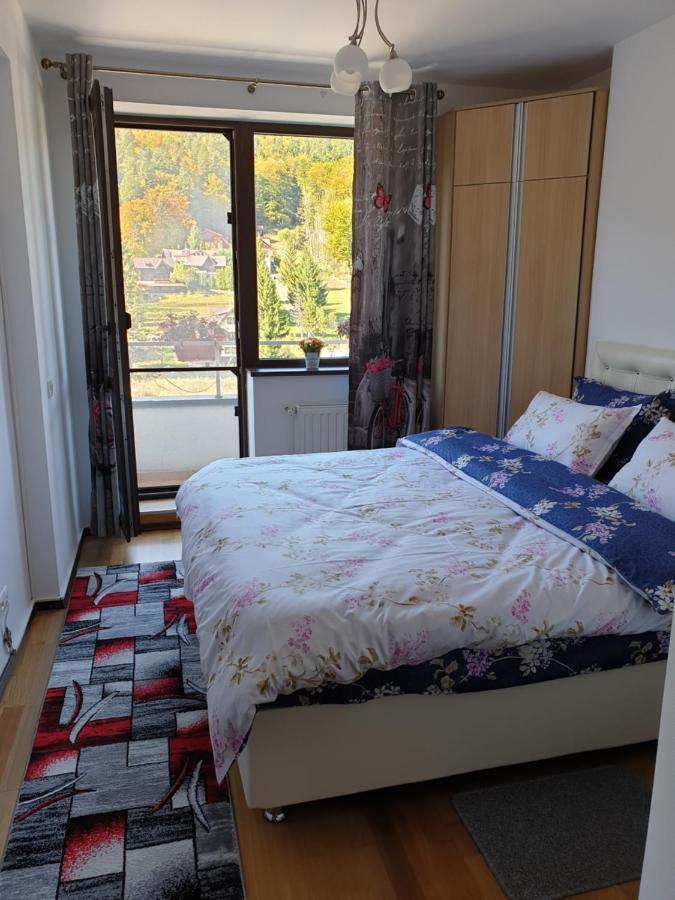 Sophie Apartament Apartment Sinaia Ngoại thất bức ảnh