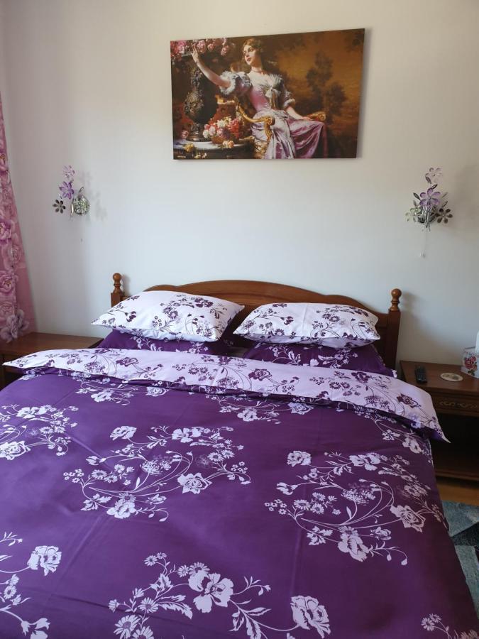 Sophie Apartament Apartment Sinaia Ngoại thất bức ảnh