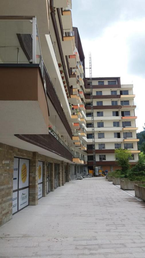Sophie Apartament Apartment Sinaia Ngoại thất bức ảnh