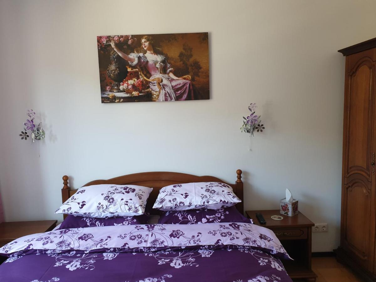 Sophie Apartament Apartment Sinaia Ngoại thất bức ảnh
