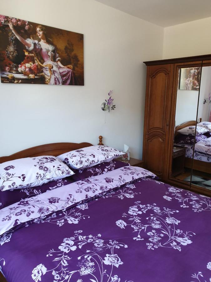 Sophie Apartament Apartment Sinaia Ngoại thất bức ảnh