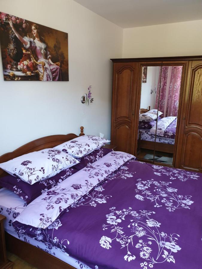 Sophie Apartament Apartment Sinaia Ngoại thất bức ảnh