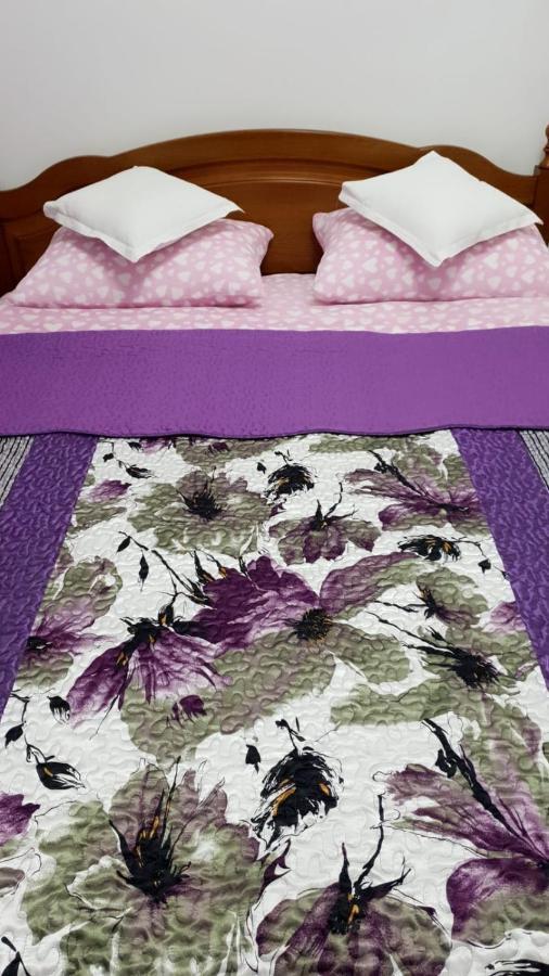 Sophie Apartament Apartment Sinaia Ngoại thất bức ảnh