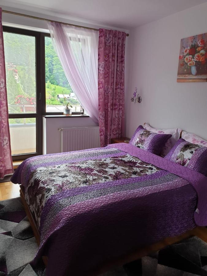 Sophie Apartament Apartment Sinaia Ngoại thất bức ảnh