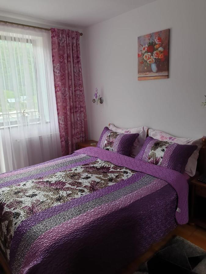 Sophie Apartament Apartment Sinaia Ngoại thất bức ảnh