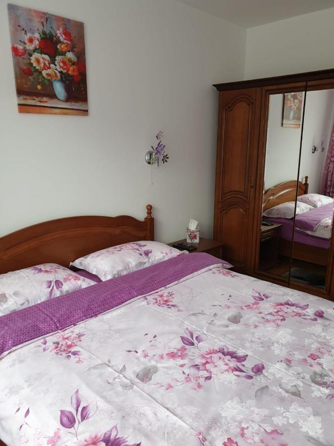Sophie Apartament Apartment Sinaia Ngoại thất bức ảnh