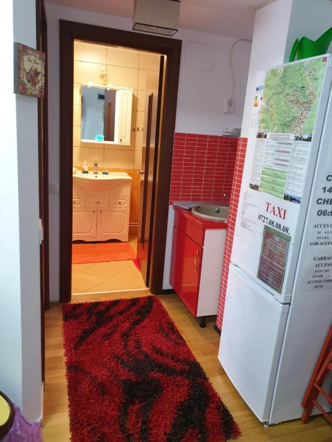 Sophie Apartament Apartment Sinaia Ngoại thất bức ảnh