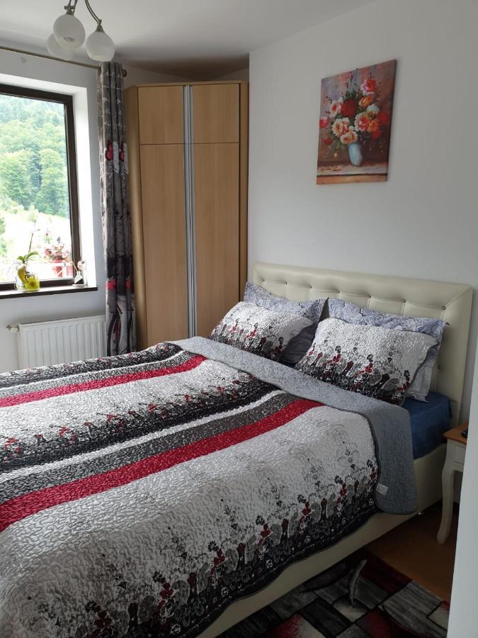 Sophie Apartament Apartment Sinaia Ngoại thất bức ảnh