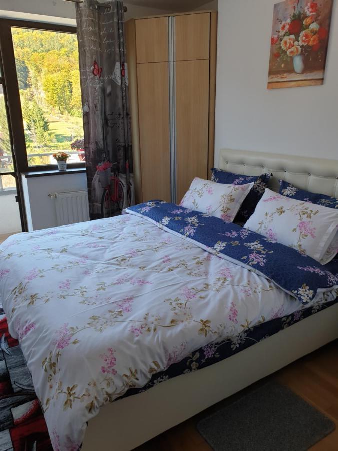 Sophie Apartament Apartment Sinaia Ngoại thất bức ảnh
