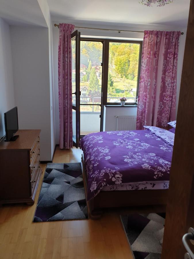 Sophie Apartament Apartment Sinaia Ngoại thất bức ảnh