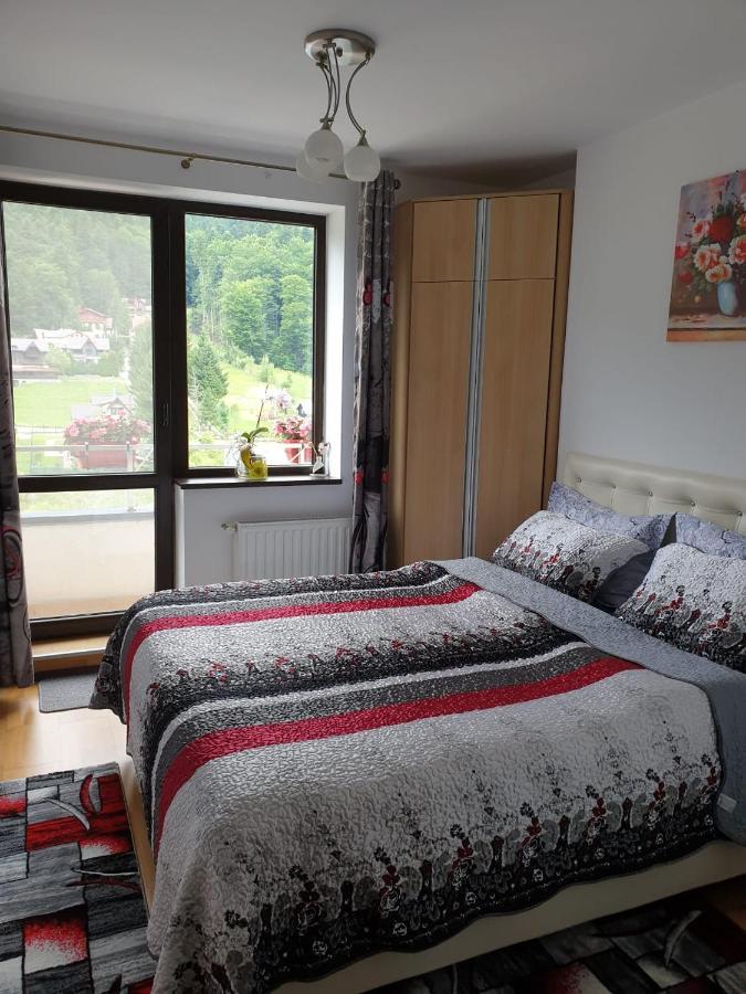 Sophie Apartament Apartment Sinaia Ngoại thất bức ảnh