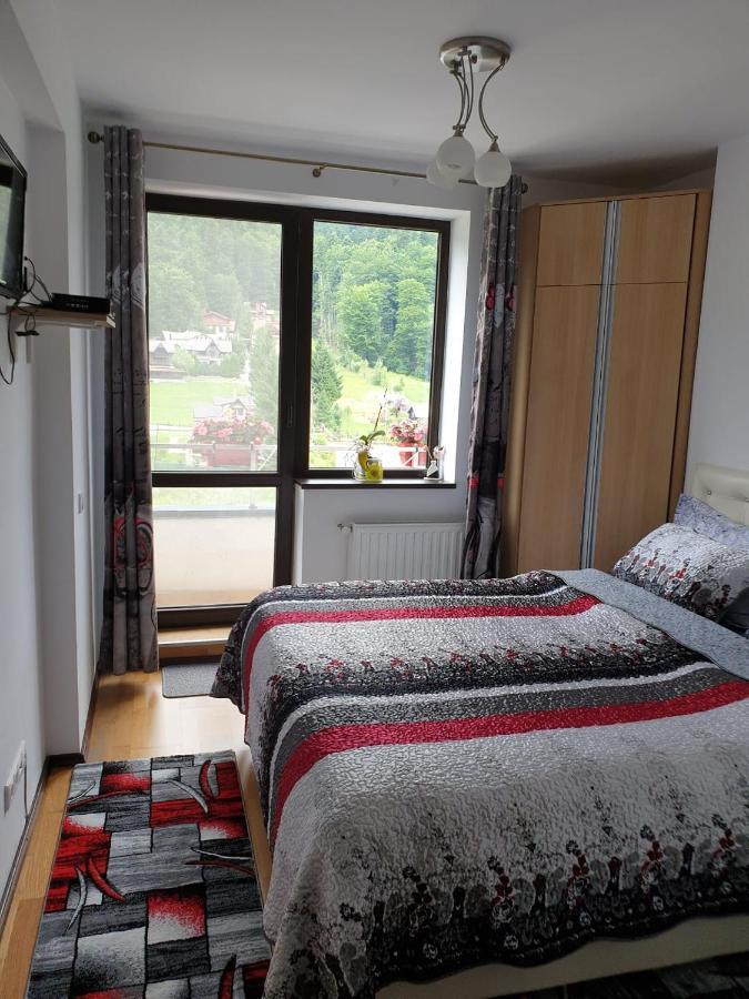 Sophie Apartament Apartment Sinaia Ngoại thất bức ảnh