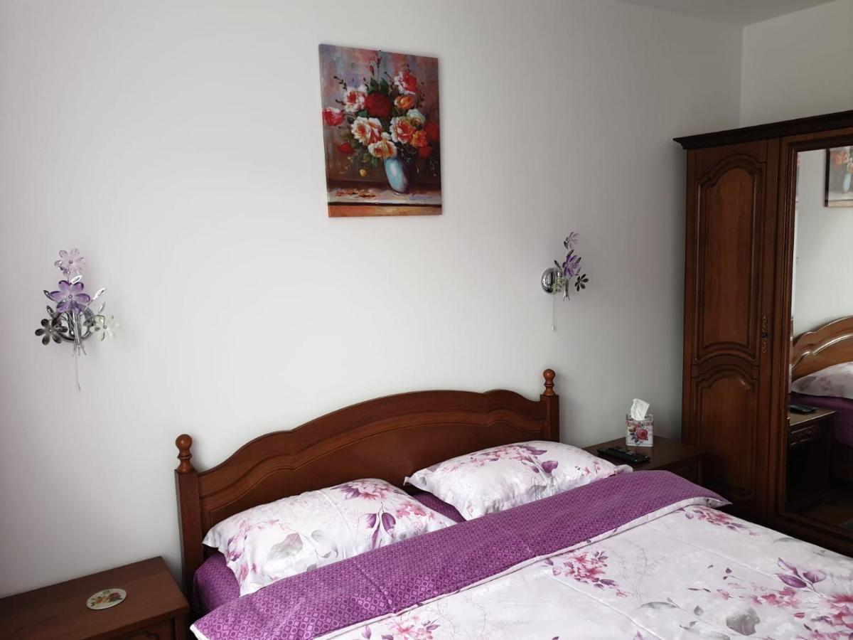 Sophie Apartament Apartment Sinaia Ngoại thất bức ảnh