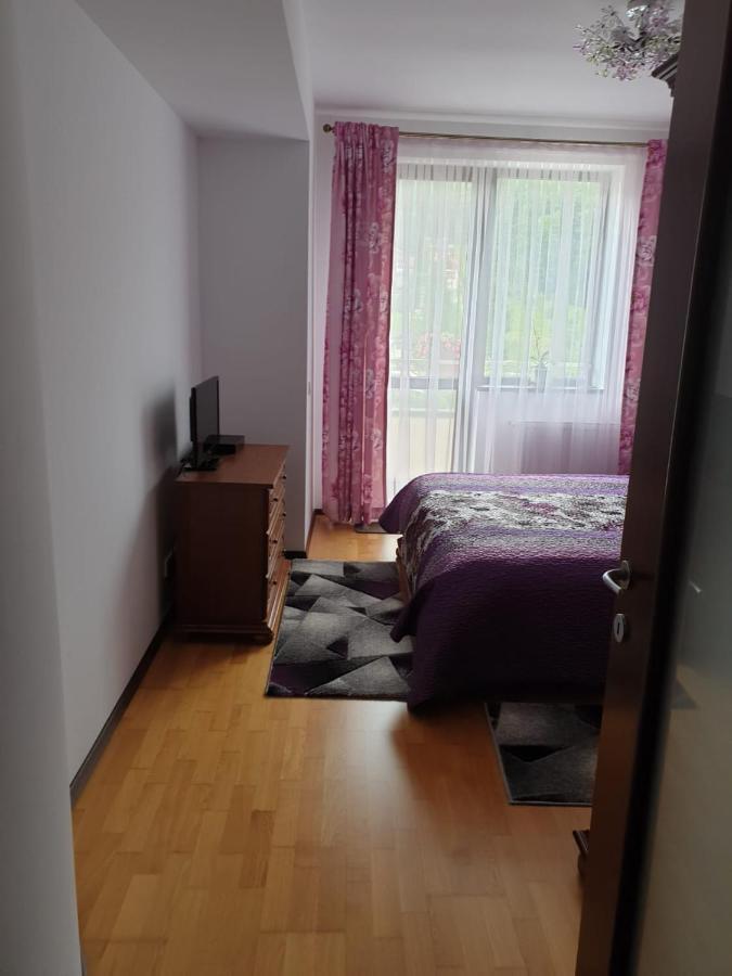 Sophie Apartament Apartment Sinaia Ngoại thất bức ảnh