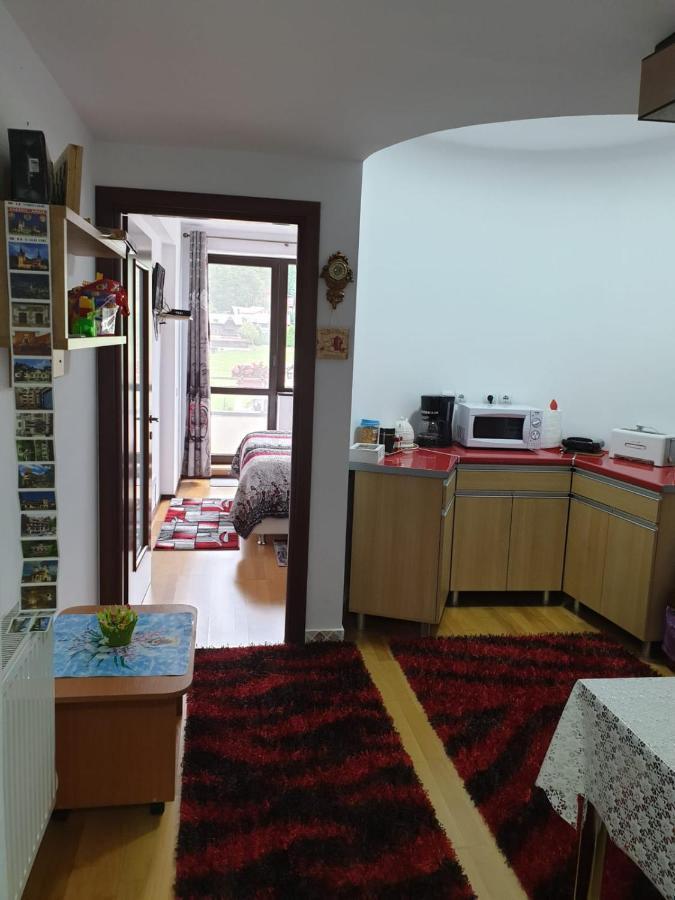 Sophie Apartament Apartment Sinaia Ngoại thất bức ảnh