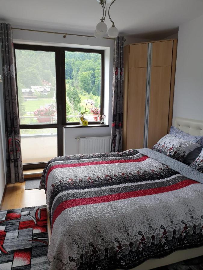 Sophie Apartament Apartment Sinaia Ngoại thất bức ảnh