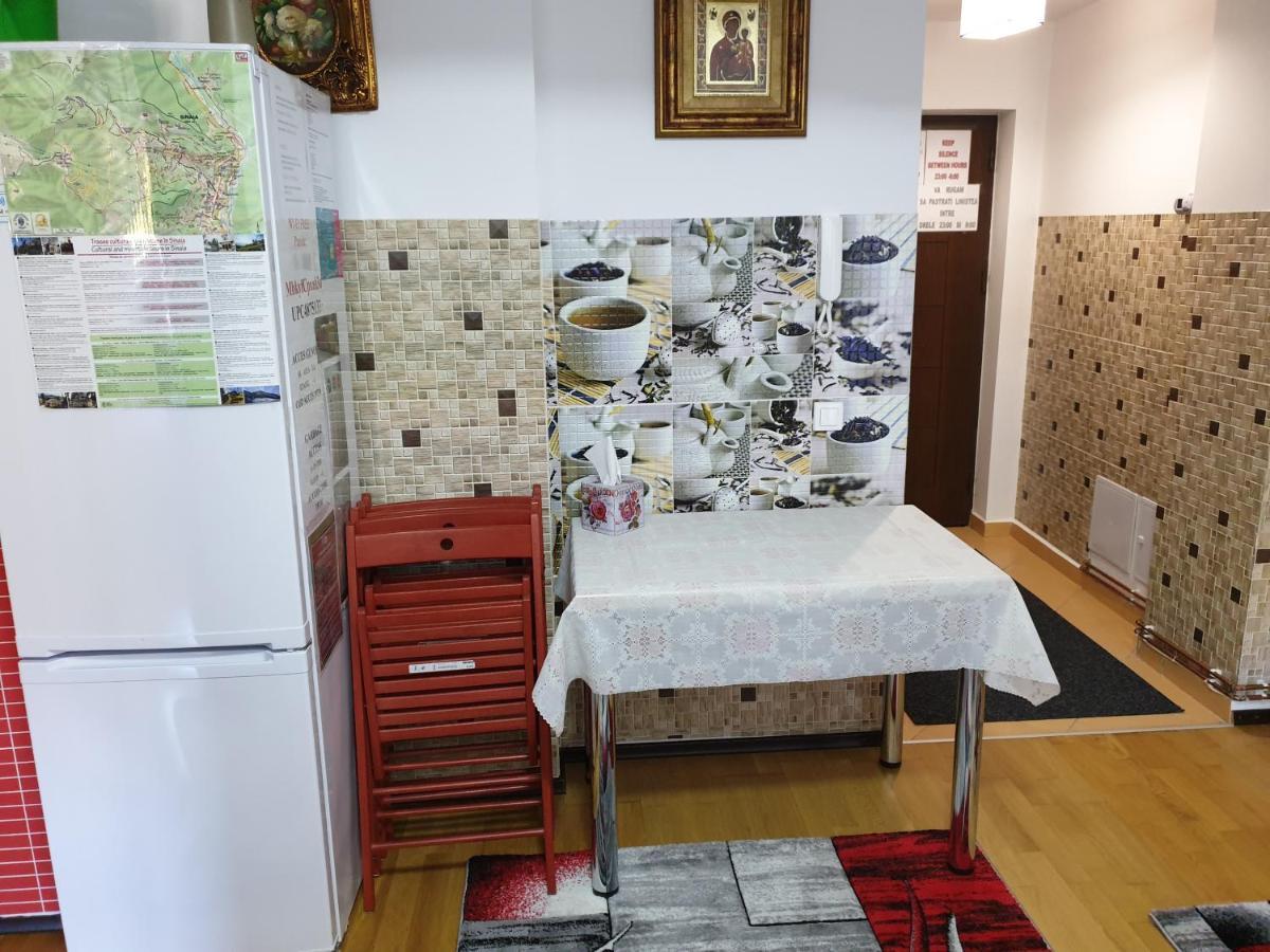 Sophie Apartament Apartment Sinaia Ngoại thất bức ảnh