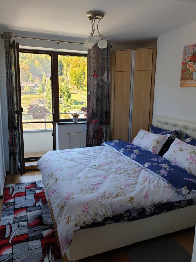 Sophie Apartament Apartment Sinaia Ngoại thất bức ảnh