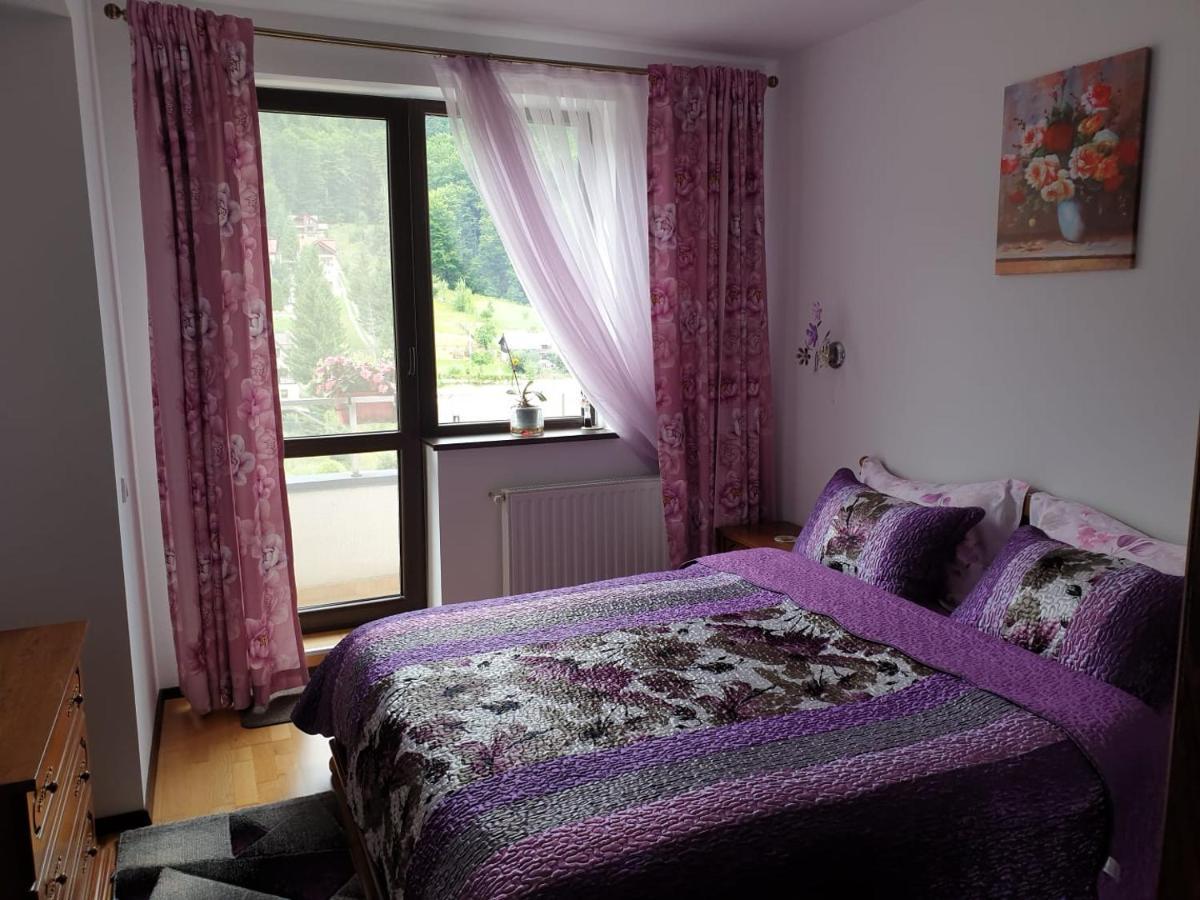 Sophie Apartament Apartment Sinaia Ngoại thất bức ảnh