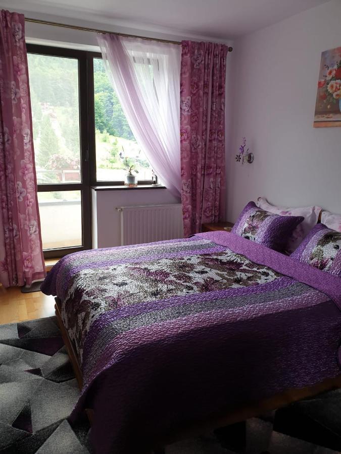 Sophie Apartament Apartment Sinaia Ngoại thất bức ảnh
